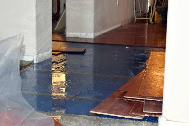 Professional Burst Pipe Cleanup technician working in Garwood, TX